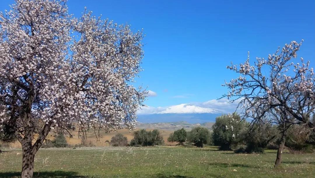 "San Placido Green House" Villa Con Piscina Castel di Iudica Bagian luar foto